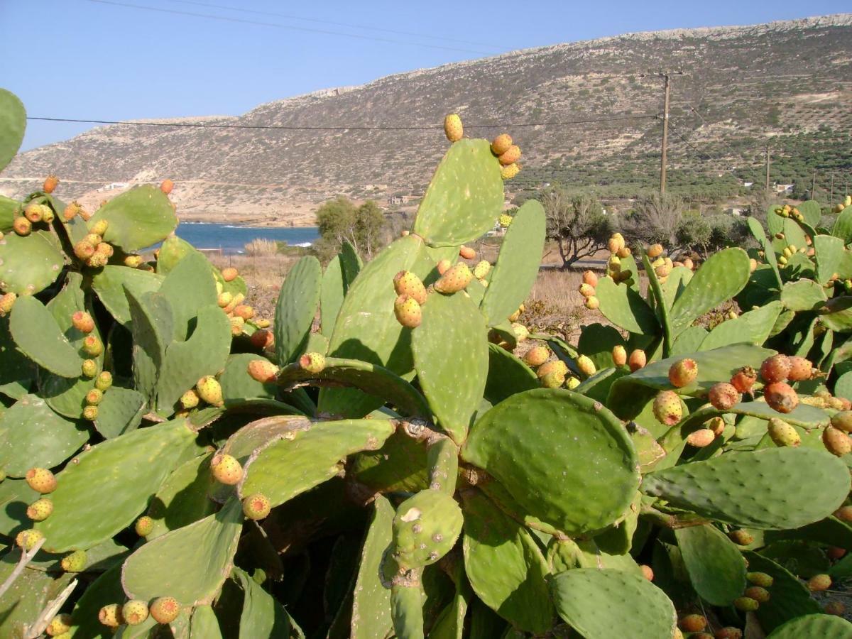 Papadiokampos Maissonete Roussa Limni Exterior photo